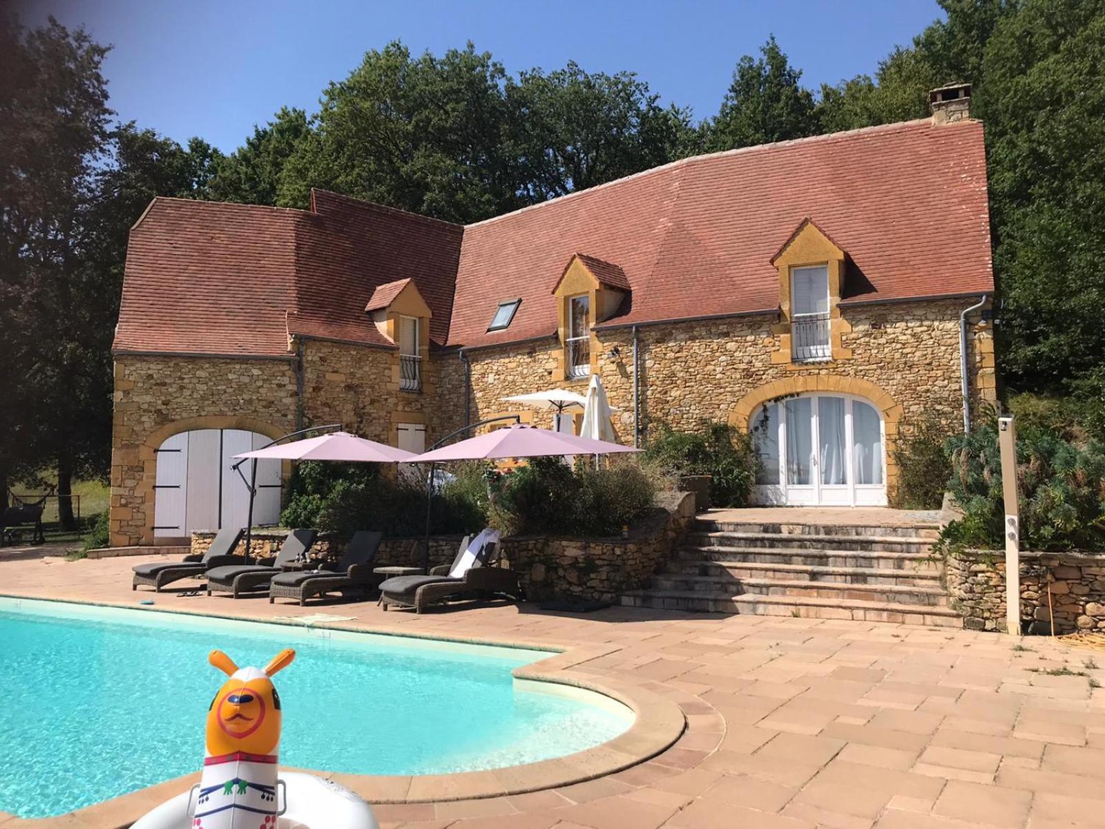 Luxury Chateau W. Pool & Hot Tub In Dordogne Beynac-et-Cazenac Eksteriør bilde